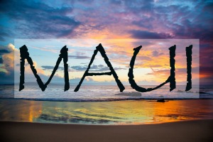 MauiButton